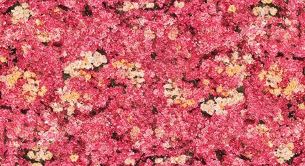 Obraz premium A vibrant, seamless texture featuring many pink, white, and yellow blossoms densely packed together, creating a beautiful spring floral backdrop, abstract, macro, fresh
