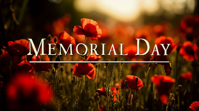 A photograph of a field of red flowers with the text Memorial Day overlaid in white - Powered by Adobe