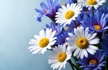 Fototapeta premium Daisies and blue blossoms create a bright bouquet against a soft blue backdrop