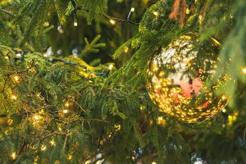 Close-up detail of a Christmas tree with a shiny golden bauble, surrounded by twinkling lights and green pine needles