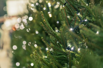 Close-up of a Christmas tree decorated with string lights, featuring soft bokeh illumination and green pine branches