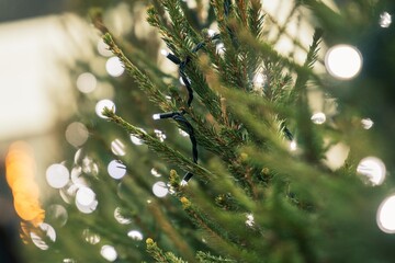 Close-up of a Christmas tree decorated with string lights, featuring soft bokeh illumination and green pine branches