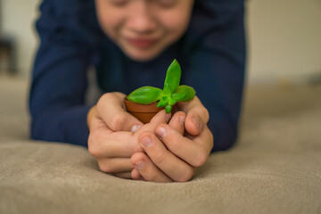 child hands holding plant small terracotta pot smiling gazing down indoors soft focus beige surface concept of growth nature and care