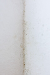 Fototapeta premium Mold growth in the corner of a residential room wall