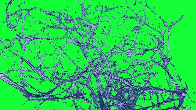 Chaotic water web on Green Screen

3d rendering tangled high-energy water strands forming an explosive chaotic liquid web with full green screen background
