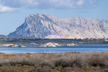 Sardinien Mittelmeer
