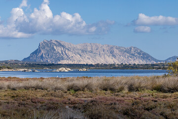 Sardinien Mittelmeer