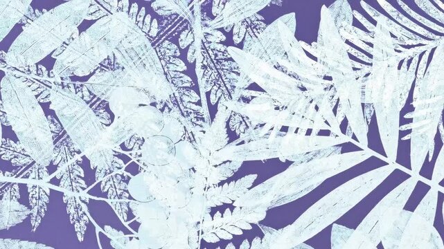An artistic depiction of white leafy plants on a purple background.