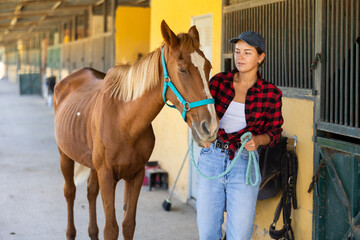 Young woman takes horse on leash for walk from stables