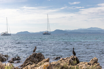 Sardinien Mittelmeer