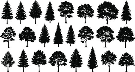 Fototapeta premium Large Set of Detailed Tree Silhouettes Including Deciduous and Coniferous Species for Architectural Plan, Forest, and Nature Graphic Design