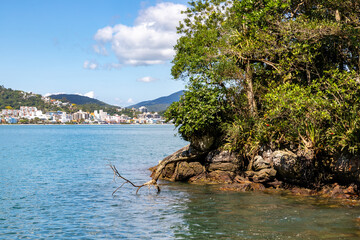Forest and rocks with Buildings in background at Bombinhas beach