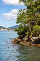 Forest and rocks with Buildings in background at Bombinhas beach