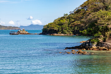 Forest at Sepultura beach