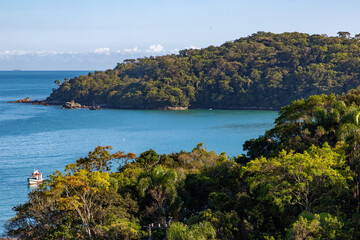 Forest at Bombinhas beach