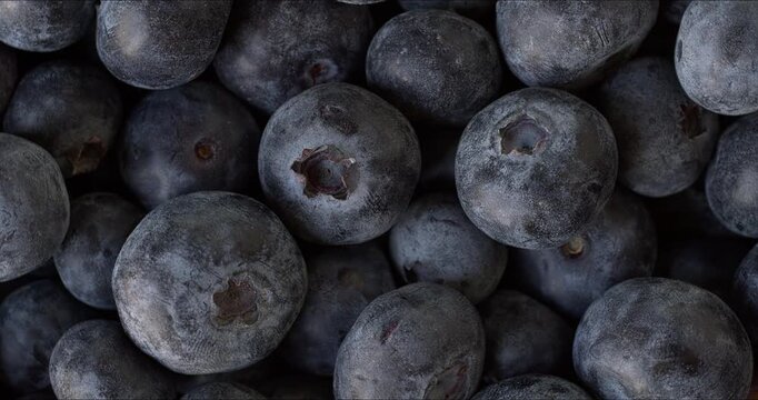 Close-up view of fresh northern highbush blueberry berries. Table spin. 