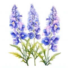 Obraz premium Delicate watercolor painting of delphinium flowers in shades of blue and lavender