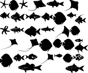 Set of sea animals silhouettes black and white fish starfish and rays set