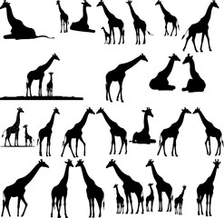 Giraffe silhouette vector art of african mammal wildlife animal design