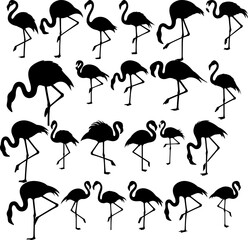 Flamingo silhouette vector set of tropical birds standing on one leg design