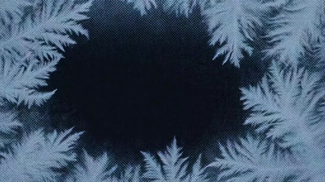 A dark background surrounded by a border of frosty leaves, creating a wintery, icy effect.