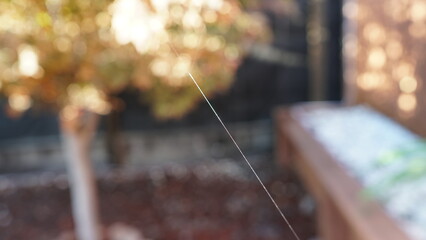 A single, delicate strand of spider silk caught in the light, spanning an autumn-toned, softly blurred background.