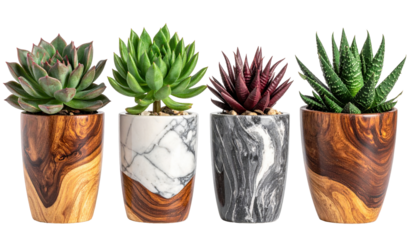 Assorted Succulent Plants in Decorative Pots with Wood and Marble Finishes on Transparent Background