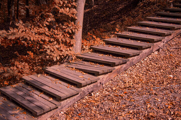 wooden steps in the autumn forest. stairs leading uphill or downhill. Yellow autumn leaves. High quality photo