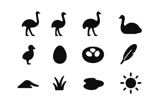 Flightless Bird Icons. Flightless bird. Solid icon set of Flightless bird: ostrich, rhea, emu, adult ostrich, baby ostrich, egg, nest, feather, sand dune,