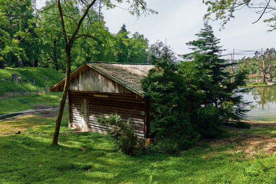Cabin boathouse lake trees grass forest scene with rustic wooden structure by water, peaceful countryside landscape, summer greenery, sunlight and reflections on the shore. - Powered by Adobe