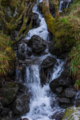 waterfall in the forest