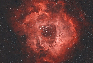 The Rosette Nebula (NGC 2237), massive HII region and stellar nursery in Monoceros. Ionized hydrogen gas glows intensely crimson, surrounding an open cluster of hot, young O-type stars