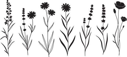 Silhouette wildflower stems arranged in row featuring delicate blossom shapes and botanical detail concept of nature simplicity floral design