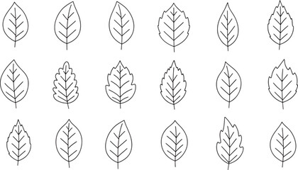 Collection of leaf outline icons with simple botanical shapes and natural vein details Concept of nature ecology growth environment