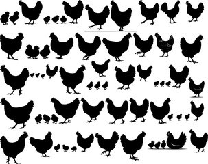 Farm Animal Poultry Bird Chicken Hen Chick Silhouette Black Vector Illustration