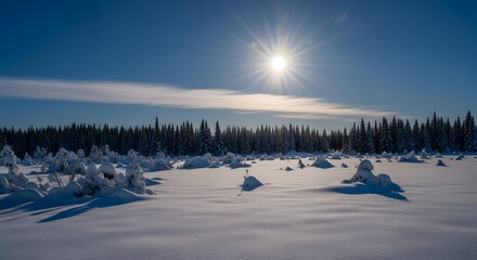 Snowy landscape with bright sun and frosted trees under blue sky