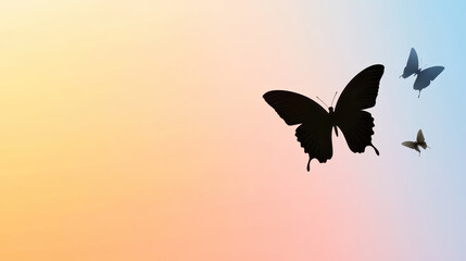 Obraz premium Black butterfly silhouette flying with two smaller butterflies on soft pastel gradient background creating peaceful mood