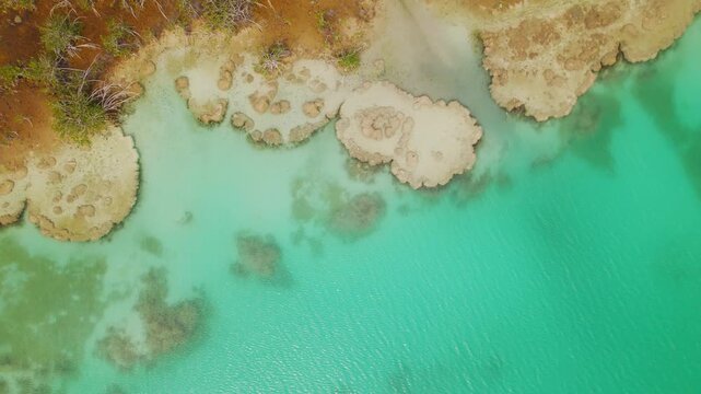 Aerial view of turquoise lagoon meeting earthy shoreline and mangrove vegetation