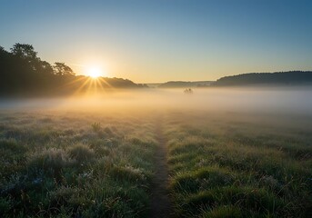 Sunrise over a misty meadow a serene landscape with golden light