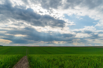 Vast green agricultural field under a dramatic cloudy sky with sun rays breaking through, revealing a distant horizon and winding path.