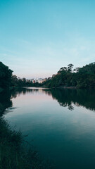 Obraz premium Ibirapuera Park in the late afternoon during summer