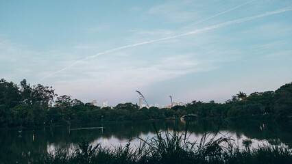 Ibirapuera Park in the late afternoon during summer