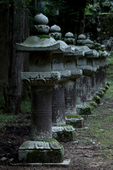 立ち並んだ神社の灯籠
