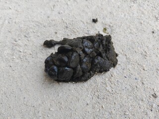 Goat Droppings on Ground – Close-Up Animal Waste Texture for Agriculture and Nature Study