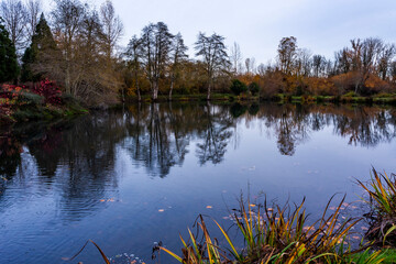 Autumn colored trees stand out along the shoreline and their reflection mirrored in the calm water