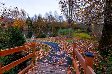 View from a wooden bridge onto a pond in a park in autumn