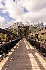 Obraz premium bridge over the river