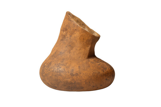 Dried calabash gourd vase brown natural container