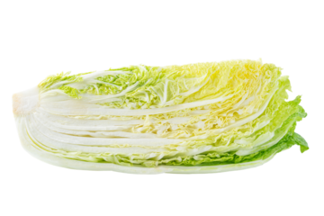 透明背景（png）に四分の一にカットした白菜