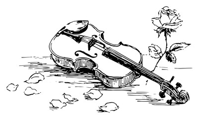 Classical violin musical instrument lying with rose flower and petals hand drawn vector sketch illustration of romantic melody © Kaz